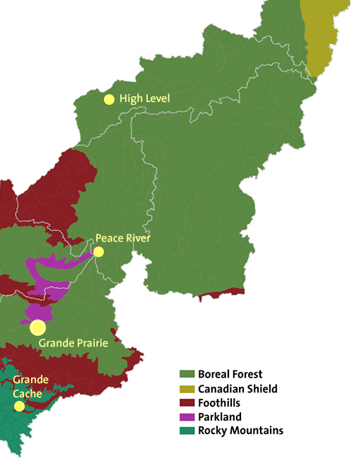 Ecoregions